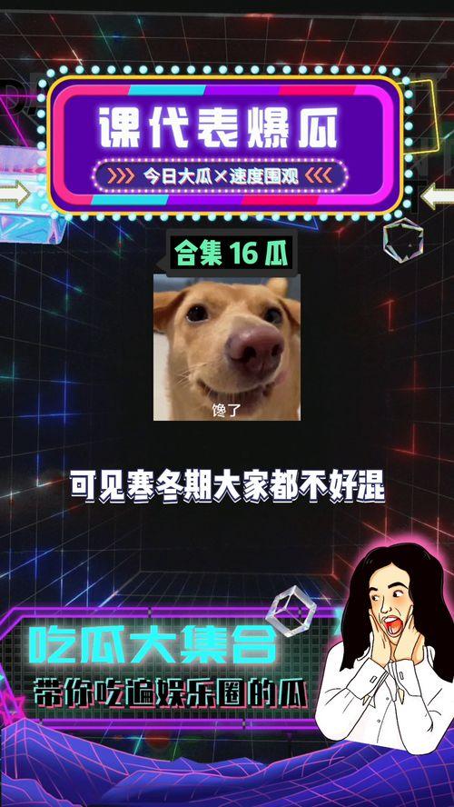 娱乐八卦开心吃瓜图片